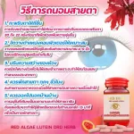 วิตามิน บำรุงสายตา 2 กระปุก DRD Herb สาหร่ายแดง เรดอัลจี ลูทีน ตามัว มองไม่ชัด ต้อหิน ต้อกระจก จบทุกปัญหาดวงตา