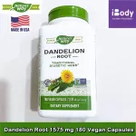สารสกัดจากรากดอกแดนดิไลอัน Dandelion Root 1575 mg 180 Vegan Capsules Nature's Way®