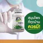 EX, a small gearbox, 30 capsules, strengthening the body's immune system Herbs increase immunity, vitamin EX, reduce allergy, flu, pneumonia, ready to deliver !!