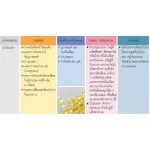 บำรุงกระดูก ข้อเข่าอักเสบ ปวดเข่า แคลเซียม แคล-ดี-แมก 600 และ Fish Oil น้ำมันปลา ขนาด 500 มก. Giffarine