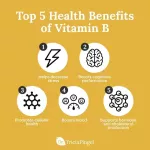 Vitamin BC Complex B-100, Vitamin B, total 100 Veg Capsules Now Foods® B100 B-Complex