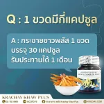 กระชายขาว เสริมภูมิคุ้มกัน ให้ร่างกาย ช่วยบำรุงหัวใจ สมอง บำรุงกระดูก แก้ลมวิงเวียน แน่นหน้าออก สมุนไพร กระชายขาวสกัด 1 กระปุก 30 แคปซูล คุณส่ง