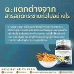 กระชายขาว เสริมภูมิคุ้มกัน ให้ร่างกาย ช่วยบำรุงหัวใจ สมอง บำรุงกระดูก แก้ลมวิงเวียน แน่นหน้าออก สมุนไพร กระชายขาวสกัด 1 กระปุก 30 แคปซูล คุณส่ง