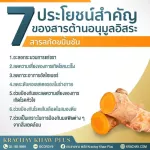 กระชายขาว เสริมภูมิคุ้มกัน ให้ร่างกาย ช่วยบำรุงหัวใจ สมอง บำรุงกระดูก แก้ลมวิงเวียน แน่นหน้าออก สมุนไพร กระชายขาวสกัด 1 กระปุก 30 แคปซูล คุณส่ง