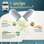 กระชายขาว เสริมภูมิคุ้มกัน ให้ร่างกาย ช่วยบำรุงหัวใจ สมอง บำรุงกระดูก แก้ลมวิงเวียน แน่นหน้าออก สมุนไพร กระชายขาวสกัด 1 กระปุก 30 แคปซูล คุณส่ง