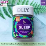 วิตามิน นอนหลับ แบบเม็ดเคี้ยว Muscle Recovery Sleep 3 mg, Berry Rested 40 Gummies OLLY® หลับเร็ว หลับลึก หลับสบาย