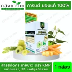 White Krachai extracted Krachai extract 1 bottle of Finger Root Extract KMP.