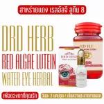 DRD Herb สาหร่ายแดง เรดอัลจี ลูทีน 8 อาหารเสริมบำรุงสายตา ชุด 2 ชิ้น น้ำทิพย์สมุนไพร ต้อหิน ต้อตา ต้อกระจก 1 กระปุก 30 แคปซูล