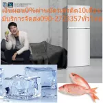 Haier 2 Door Refrigerator 6.2 Q HRF170MNI Cooling System NOFROST LED LED lights provides brightness throughout the cabinet.