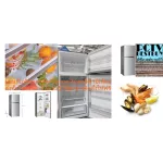 Haier 2-door refrigerator 7.2 Q HRF-TM20NS System 43DB System, SMELL & Germbuster, 197 liters, nofrost, free air purifier, PM2.5