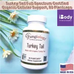 Turkey Tail Coriolus Versicolor Fungiology Full-Spectrum Tail 90 Veggie Capsules Fungiology®