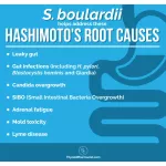 Zacca RIC BLARD SACCHAROMYCES BOULARDII, Probiotic- 5 Billion CFU 60 Veg Capsules NOW FOODS® Probiotics