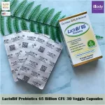โปรไบโอติก 65 พันล้านตัว LactoBif Probiotics 65 Billion CFU 30 Veggie Capsules California Gold Nutrition®