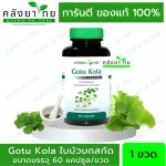 Centella asiatica extracted capsule Extracting from Centella asiatica Anshee Herbal Day 60, Genuine Capsules