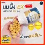 Nubolic Royal Jelly, Nourishes Bone, Bone, Religious Jare, 2454mg. EX Package New !! Royal Jelly EX NBL Royal Jelly EX 30 capsule. Ready to deliver.
