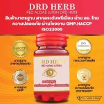 DRD Herb Red Alga Lutein Red Seaweed Eye Eye Eye Eye Eye Eye Eye Eye Eye 1 Motor 30 Capsules