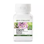 Amway Nutrilite Cistanche Amway Nutrite System instead of vitamin nourishing the brain to protect against the brain. Amway antioxidant contains 60 capsules-Thai shop