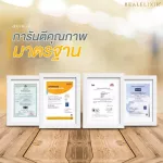 Real Elixir Quik - C วิตามินซี 10 ซอง - ปกป้องการเกิดหวัด ให้วิตามินซีสูง