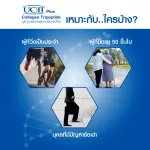 Body SHAPE UC-II PLUS Collagen Tripeptide, UST Two Plus Collagen Tripeptide, reduce joint pain, 1 bottle, 60 capsules.