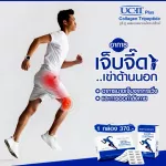Body SHAPE UC-II PLUS Collagen Tripeptide, UST Two Plus Collagen Tripeptide, reduce joint pain, 1 bottle, 60 capsules.