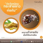 Giffarine Giffarine Krachai-Plus Krachai-PLUS Krachai, beta-glucan powder, antioxidant, anti-virus, bacteria, bacteria, cancer cells Reduce the destruction of liver 60 capsules