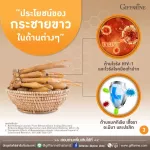 Giffarine Giffarine Krachai-Plus Krachai-PLUS Krachai, beta-glucan powder, antioxidant, anti-virus, bacteria, bacteria, cancer cells Reduce the destruction of liver 60 capsules