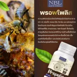 เอ็นบีแอล โพรโพลิส 30 แคปซูล