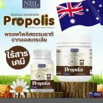 เอ็นบีแอล โพรโพลิส 365 แคปซูล