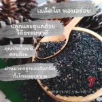 น้ำมันงาดำ บีบเย็น สกัดเย็น ขนาด240 Ml ราคา370 บาท ผลิตจากเมล็ดงาดำออร์แกนิค ตราสยามปราณา ใช้ทำอาหาร หรือบำรุงผมก็ได้