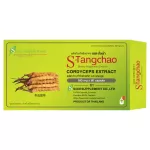 สูตรใหม่ 2020 เน้นเฉพาะ สำหรับผู้เป็นเบาหวาน ถั่งเช่า ถั่งเช่าทิเบตสกัด ผสมถั่งเช่าสีทอง แบรนด์ เอสถั่งเช่า ขนาด 60 แคปซูล