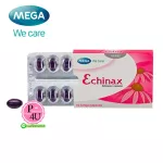 Mega We Care Echinax เมก้า วีแคร์ เอ็กไคแนกซ์ บรรจุ 10 แคปซูล เพิ่มการเคลื่อนที่ของเม็ดเลือดขาวให้เข้าหาหรือจับกับเชื้อโรค หรือสารก่อภูมิแพ้ได้ดีขึ้น