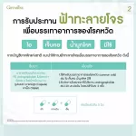 กิฟฟารีน Giffarine ยาแคปซูลฟ้าทะลายโจรสกัด FA-THALAI-JOAN EXTRACT CAPSULE, Extract of Andrographis paniculata leaves 30 แคปซูล Capsules 48009