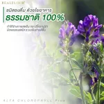 Real Elixir Alfa Chlorophyll 100g. Concentrated chlorophyll, pack 4 bottles