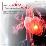 Real Elixir Coenzyme Q10 โคเอ็มไซน์ คิวเท็น 60เม็ด