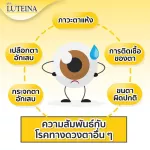 ซื้อ3แถม1 ลูทีน่า วิตามินบำรุงสายตา ตาแห้ง แสบตา Luteina 1กระปุก 60 เม็ด