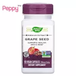 Nature's Way Premium Extract Grape Seed 60 Vegan Capsules Grape Seed Extract 60 Vgan Capsule