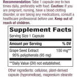 Nature's Way Premium Extract Grape Seed 60 Vegan Capsules สารสกัดเมล็ดองุ่น 60 วีแกนแคปซูล