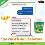 New !! AWL ALGAL OIL DHA CHWALLE 30 Capsules Special Price 690 baht