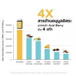 Everydayy Fvhari Day, Turmeric Dietary Supplement, Damma, Makhamom, Organic 60 Capsules/Bottle by Khaolaor White