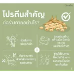 Giffarine Giffarine Vegan Multi Plant Protein protein extracted from golden peas, 30 sachets.