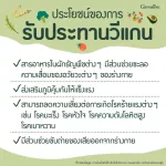 Giffarine Giffarine Vegan Multi Plant Protein protein extracted from golden peas, 30 sachets.