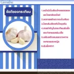 กิฟฟารีน การ์ลิซีน กระเทียมผงสกัด ชนิดแคปซูล Giffarine Garlicine  100 แคปซูล