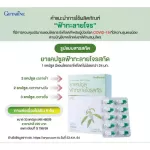 กิฟฟารีน ฟ้าทะลายโจรสกัด ยาแคปซูลฟ้าทะลายโจรสกัด เข้มข้นกว่าเดิม 6 เท่า มีแอนโดรกราโฟไลด์ไม่ต่ำกว่า 24 มก. 30 แคปซูล