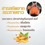 กระชายขาว x 1 ขวด สารสกัดจากกระชายขาว เดอะ เนเจอร์ Finger Root Extract The Nature บรรจุ 60 แคปซูล