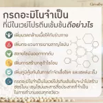 Giffarine supplements increase calcium+V Would like the ball to tall the Cali Mag 600 Vegan Protein Giffarine