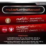 Highway Marine Drink Giffarine Giffarine Hi Whey Marine Drink, whey -protein beverage, high -cocoa powder, 10 sachets