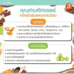 Bio -Fan Giffarine Giffarine Bio Flax Plus Golden Dietary Supplement 60 capsules