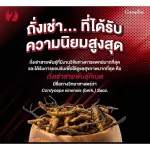 Giffarine Chong Cao Giffarine Cordy, Tibetan Cordycet Breed Cordyceps Sinensis, premium quality raw material