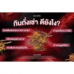 Giffarine Chong Cao Giffarine Cordy, Tibetan Cordycet Breed Cordyceps Sinensis, premium quality raw material