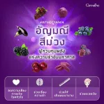 Phyphit Giffarine PHYTO - VITT GIFFARINE Giffarine Pack Mixed vegetables and vegetable extracts Suitable for people who do not eat 60 vegetables.